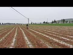 المزارع المشتركة كامل الأسنان آلة إعداد التربة التربة المعدات الزراعية